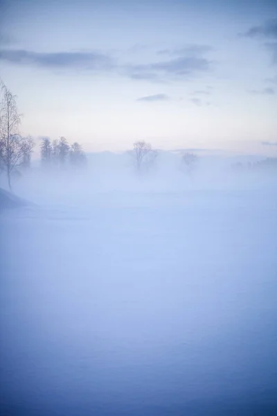 冬の不思議の国の美しい霧の夕日フィンランド ロイヤリティフリーのストック写真