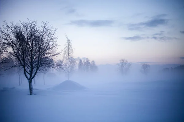 Schöner Nebliger Sonnenuntergang Winterwunderland Finnland lizenzfreie Stockfotos