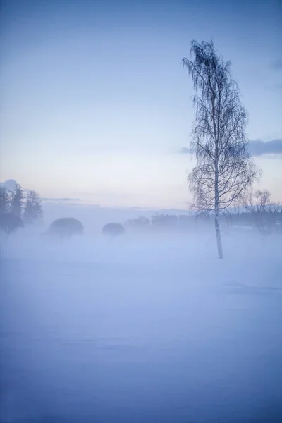 Hermosa Puesta Sol Nebulosa Invierno País Las Maravillas Finlandia Imagen De Stock