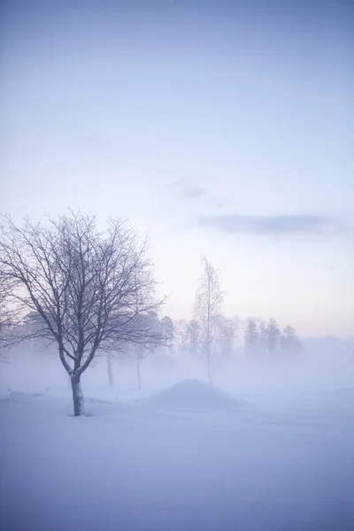 芬兰冬季仙境中美丽的雾蒙蒙的落日 免版税图库照片