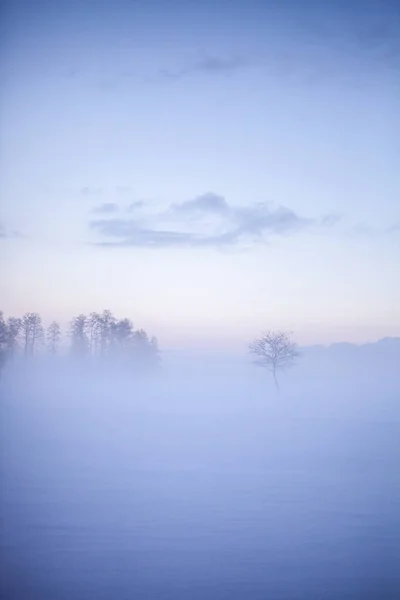 芬兰冬季仙境中美丽的雾蒙蒙的落日 图库图片