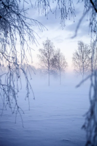 Prachtige Mistige Zonsondergang Winterwonderland Finland Stockfoto