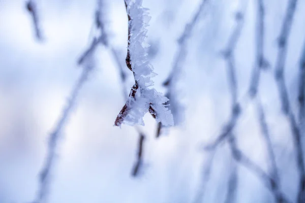 Schöner Nebliger Sonnenuntergang Winterwunderland Finnland Stockfoto