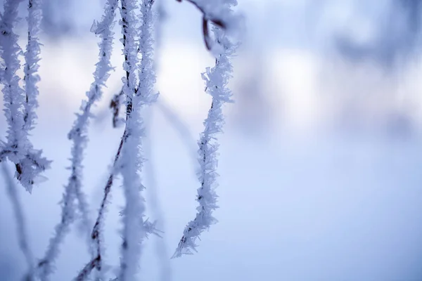 Bellissimo Tramonto Nebbioso Nel Paese Delle Meraviglie Invernale Finlandia Immagine Stock