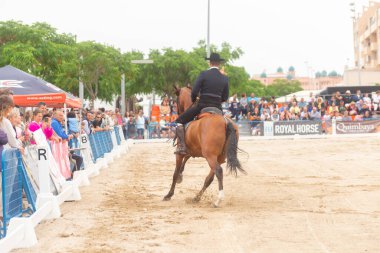 ROQUETAS DE MAR, İSPAN - 21 Mayıs 2023 Safkan İspanyol at sürme yarışında at binme becerilerinin gösterimi