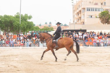 ROQUETAS DE MAR, İSPAN - 21 Mayıs 2023 Safkan İspanyol at sürme yarışında at binme becerilerinin gösterimi