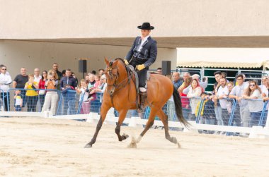 ROQUETAS DE MAR, İSPAN - 21 Mayıs 2023 Safkan İspanyol at sürme yarışında at binme becerilerinin gösterimi