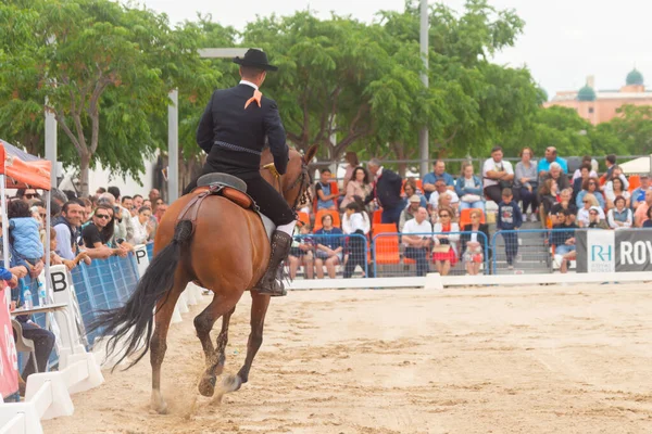ロケタス スペイン 2023年5月21日スペインの馬の運転競争の純血種の間の乗馬スキルのデモンストレーション — ストック写真