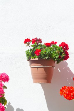 Seramik saksıyı çiçek ile dekorasyon kentsel mekan, dekoratif sokak duvarda asılı