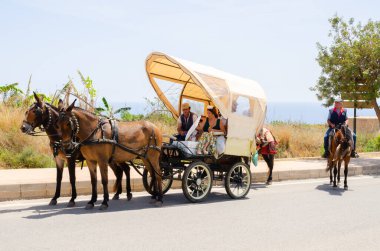 NERJA, SPAIN - 15 Mayıs 2022 Şehir sakinleri, arabalar, arabalar, atlar, öküzler ve traktörler, komşu köylerden gelen çiftçiler hepsi en iyi ve en güzel geleneksel halk kostümlerini giymişti.