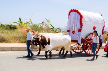 NERJA, SPAIN - 15 Mayıs 2022 Şehir sakinleri, arabalar, arabalar, atlar, öküzler ve traktörler, komşu köylerden gelen çiftçiler hepsi en iyi ve en güzel geleneksel halk kostümlerini giymişti.