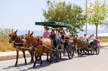NERJA, SPAIN - 15 Mayıs 2022 Şehir sakinleri, arabalar, arabalar, atlar, öküzler ve traktörler, komşu köylerden gelen çiftçiler hepsi en iyi ve en güzel geleneksel halk kostümlerini giymişti.