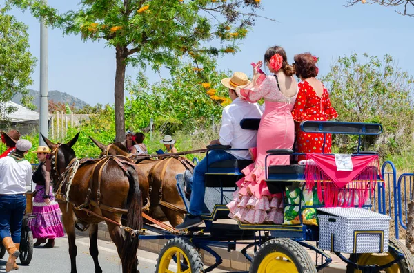 NERJA, SPAIN - 15 Mayıs 2022 Şehir sakinleri, arabalar, arabalar, atlar, öküzler ve traktörler, komşu köylerden gelen çiftçiler hepsi en iyi ve en güzel geleneksel halk kostümlerini giymişti.
