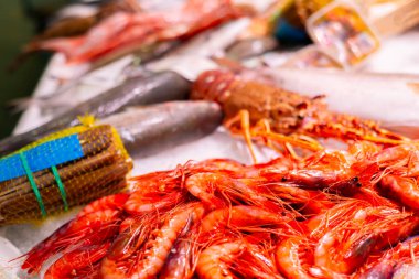 İspanyol deniz kentinde bir balık tezgahında taze ve çeşitli deniz ürünleri ve balıklar. Balık pazarı.