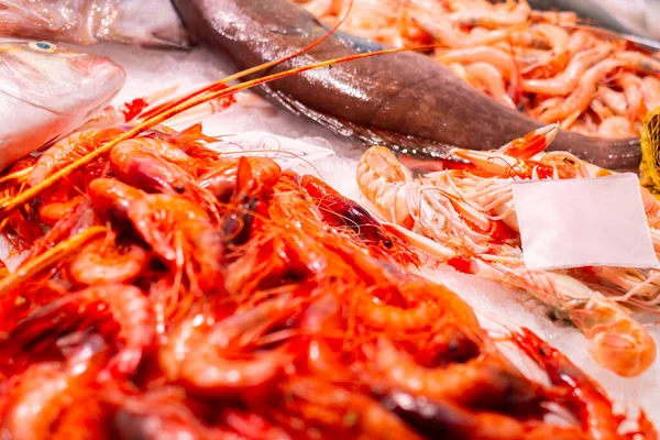 İspanyol deniz kentinde bir balık tezgahında taze ve çeşitli deniz ürünleri ve balıklar. Balık pazarı.