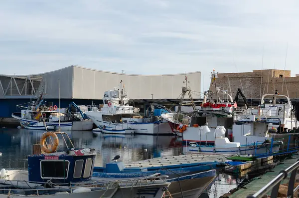 ROQUETAS DE MAR, SPAIN - 07 ARALIK 2023 Limanın ana faaliyeti balıkçılıktır ama eğlence amaçlı ve spor tekneleri de orada demirleyebilir.