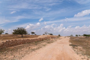 İspanya 'da tarım arazileri, badem ağaçları ve zeytin ağaçları arasında bir kır yolu manzarası, tarım manzarası