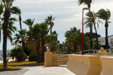 VERA, SPAIN - 23 HAZİRAN 2019 İspanya 'nın Vera şehrinde çok sayıda kültürel ve spor etkinliğinin gerçekleştiği şehir gezisi