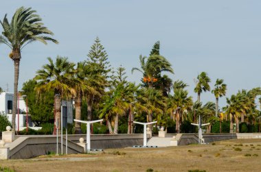 VERA, SPAIN - 23 HAZİRAN 2019 İspanya 'nın Vera şehrinde çok sayıda kültürel ve spor etkinliğinin gerçekleştiği şehir gezisi