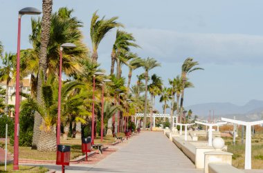 VERA, SPAIN - 23 HAZİRAN 2019 İspanya 'nın Vera şehrinde çok sayıda kültürel ve spor etkinliğinin gerçekleştiği şehir gezisi