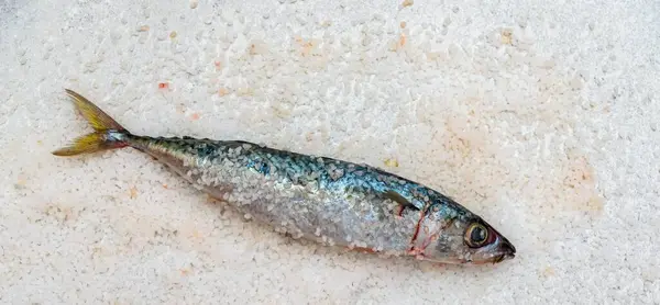 Stock image Whole raw organic mackerel fish with sea salt lying on a flat white surface