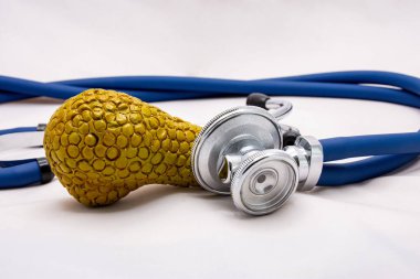 Hastanedeki bir doktor muayenehanesinde fenoendoskoplu pankreasın fotoğrafı. Sunumlarda, reklamlarda, tıbbi belgelerde kullanım için.