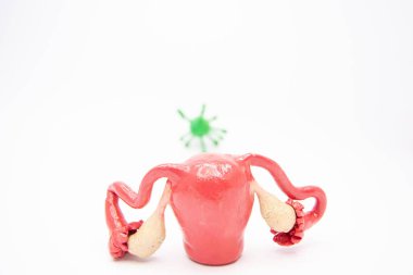 Shape of uterus is in foreground, and background is blurred figure of bacteria or viruses as pathogens of reproductive system diseases. Concept photo of causes of reproductive system diseases.
