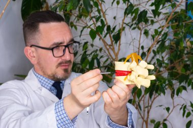 Doktor hastaya vertebral vücutta hemanjiyomun, tüberkülozun ya da kırığın ya da MRI sonuçlarının açıklanmasının olası nedenini açıklayan plastik bir omur kemiği modeli gösteriyor. 