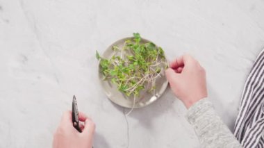 Düz yatıyordu. Bir kasede taze toplanmış turp mikroçerezleri..