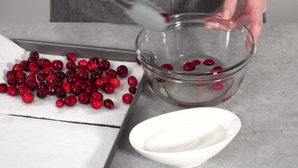 차근차근 사탕수수크랜 베리를 유기농크랜 베리와 백설탕으로 예방하는 — 비디오