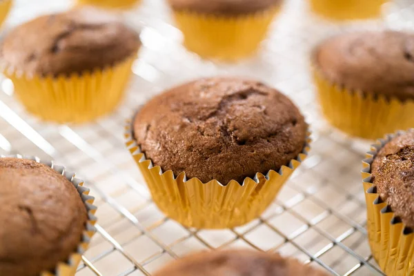 Refroidissement Cupcakes Framboises Chocolat Fraîchement Cuits — Photo