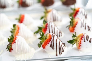 Çikolataya batırılmış organik çilekler parşömen kağıdına kurulanıyor..