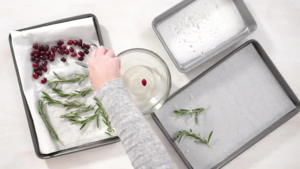 Time Lapse Step Step Flat Lay Covering Fresh Cranberries Rosemary — Stock Video