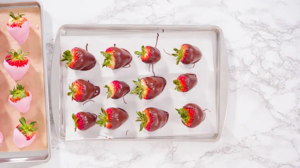 Flach Lag Schritt Für Schritt Bio Erdbeeren Geschmolzene Schokolade Tauchen — Stockfoto