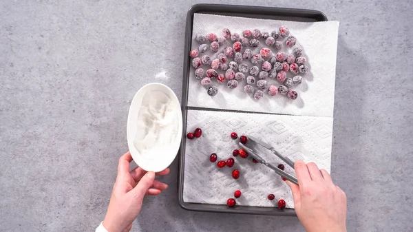 Ležel Krok Krokem Prepating Sugar Cranberries Organic Cranberries White Sugar — Stock fotografie