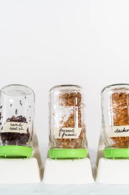 Üçüncü gün. Mutfak tezgahında filizlenen kapağı olan bir kavanozda organik filizler yetişiyor..