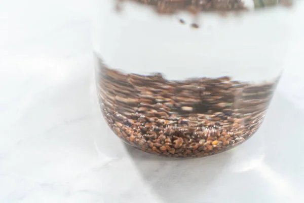 Dag Één Biologische Spruitjes Kweken Een Pot Metselwerk Met Kiemdeksel — Stockfoto