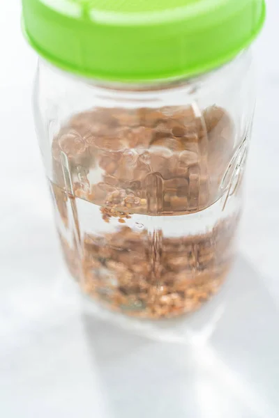 Tag Bio Sprossen Einmachglas Mit Keimdeckel Auf Der Küchentheke Anbauen — Stockfoto