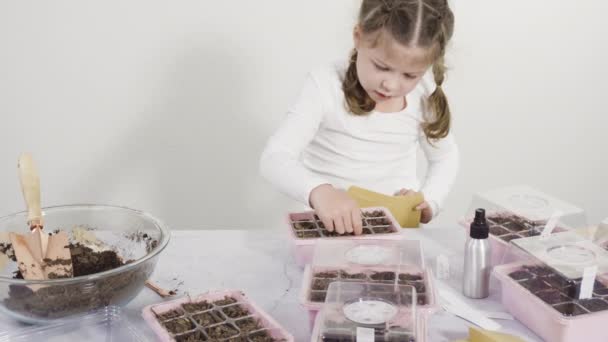 種子のプロパゲータに種を植えるのを手伝っている女の子 — ストック動画