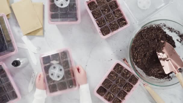 Επίπεδη Φυτεύοντας Σπόρους Πολλαπλασιαστή Σπόρων Χώμα — Αρχείο Βίντεο