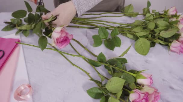 Steg För Steg Florist Arrangera Bukett Rosa Rosor — Stockvideo