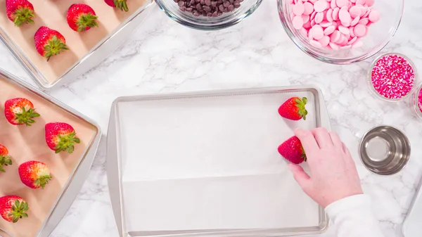 평평하게 차근차근 초콜릿에 딸기를 만들기 시트에 유기농 딸기를 배열하는 — 스톡 사진