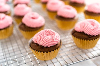 Ahududu krem peynirli kremalı çikolatalı kekler..