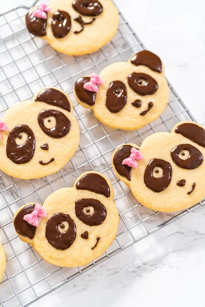 Icing Panda Shaped Shortbread Cookies Chocolate Icing — Stock Photo, Image