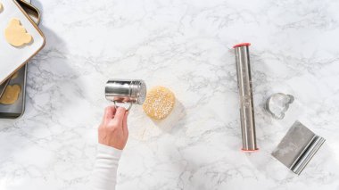 Düz yatıyordu. Yuvarlanan kurabiye hamuru ve panda şeklinde kurabiye kesme.