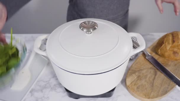 Gotowanie Zupy Białej Fasoli Wegetariańskiej Odlewanym Piecu Holenderskim — Wideo stockowe