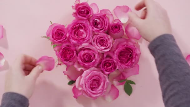 平躺在床上粉色背景的粉红玫瑰和玫瑰花瓣 — 图库视频影像