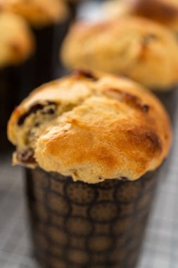 Mutfak tezgahında yeni pişmiş mini Paskalya ekmeği kulich..