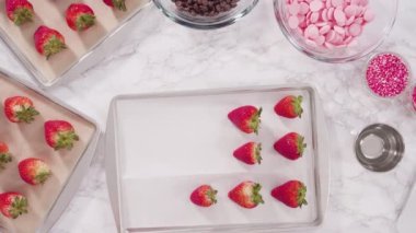 Düz yatıyordu. Adım adım. Çikolata soslu çilek yapmak için bir tepside organik çilek düzenlemek..