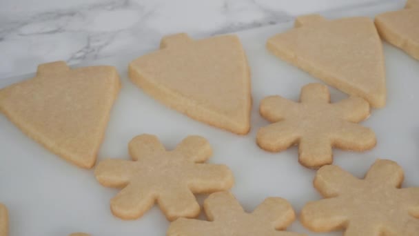 一歩ずつ アイスクリスマスツリー状の砂糖クッキーとグリーンロイヤルアイシング — ストック動画